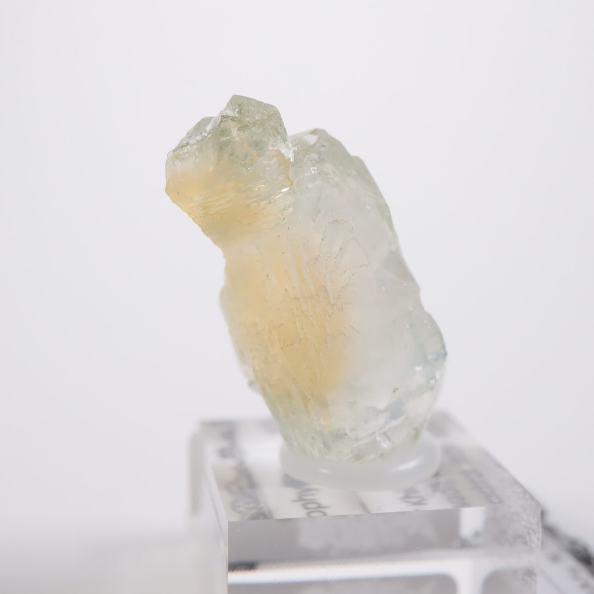 ����ɻ� ���ݥե��饤��