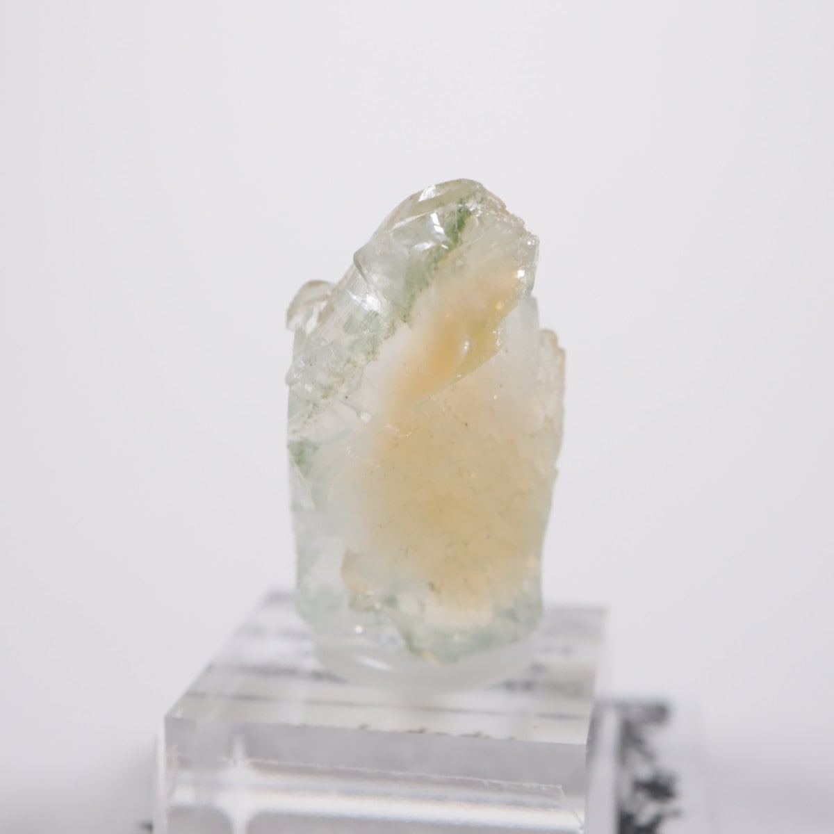 ����ɻ� ���ݥե��饤��