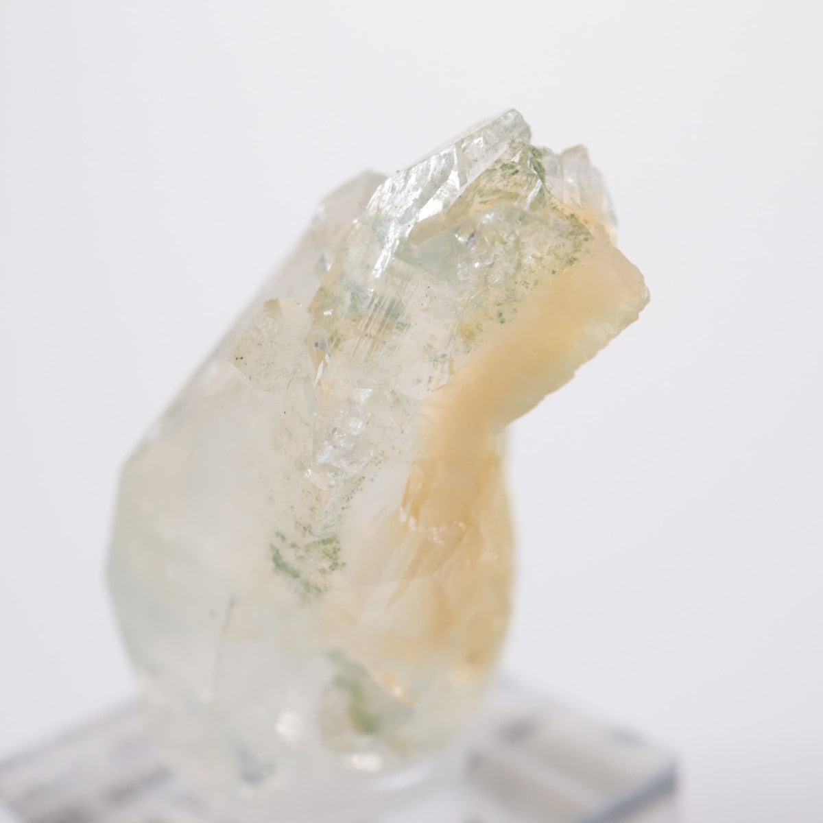 ����ɻ� ���ݥե��饤��