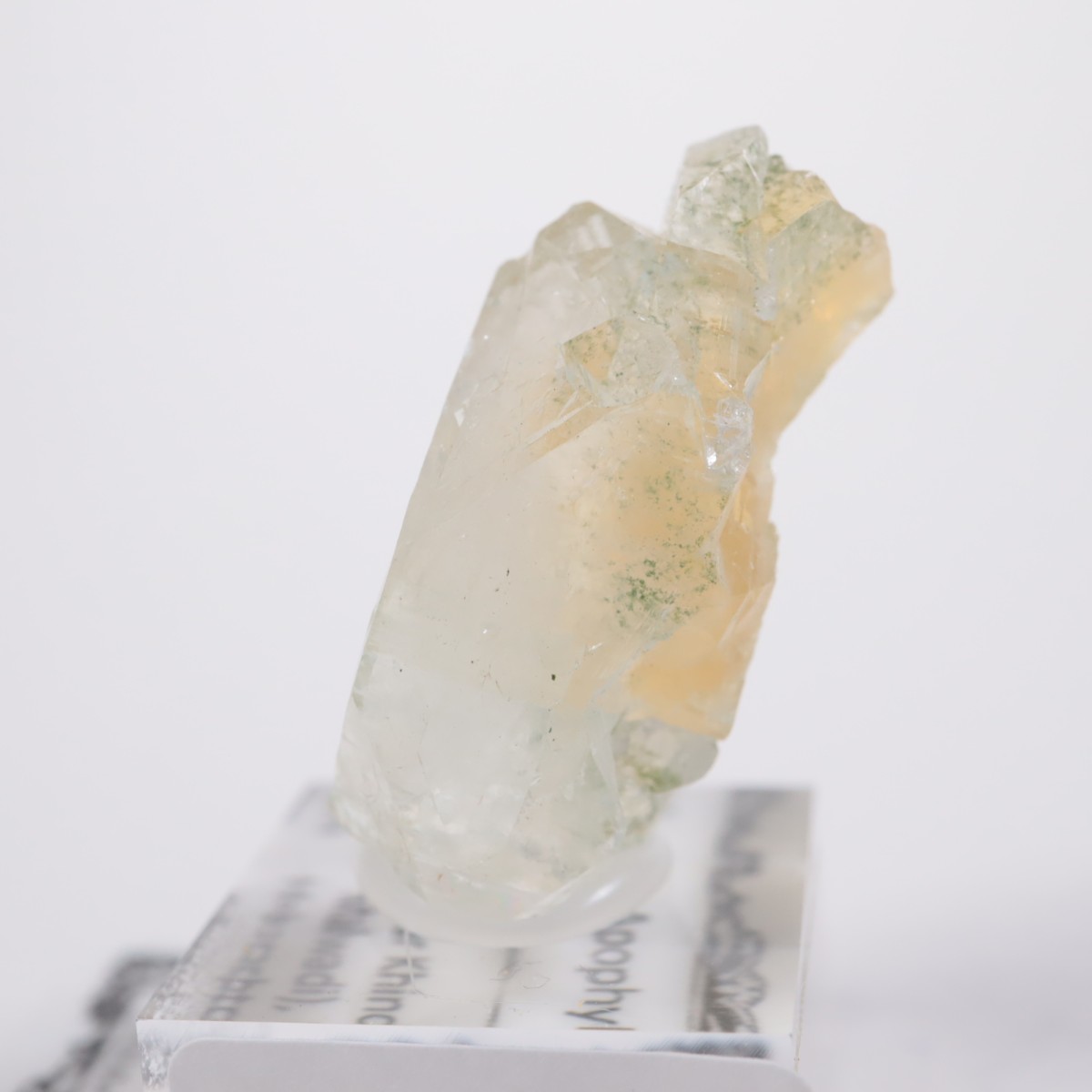 ����ɻ� ���ݥե��饤��