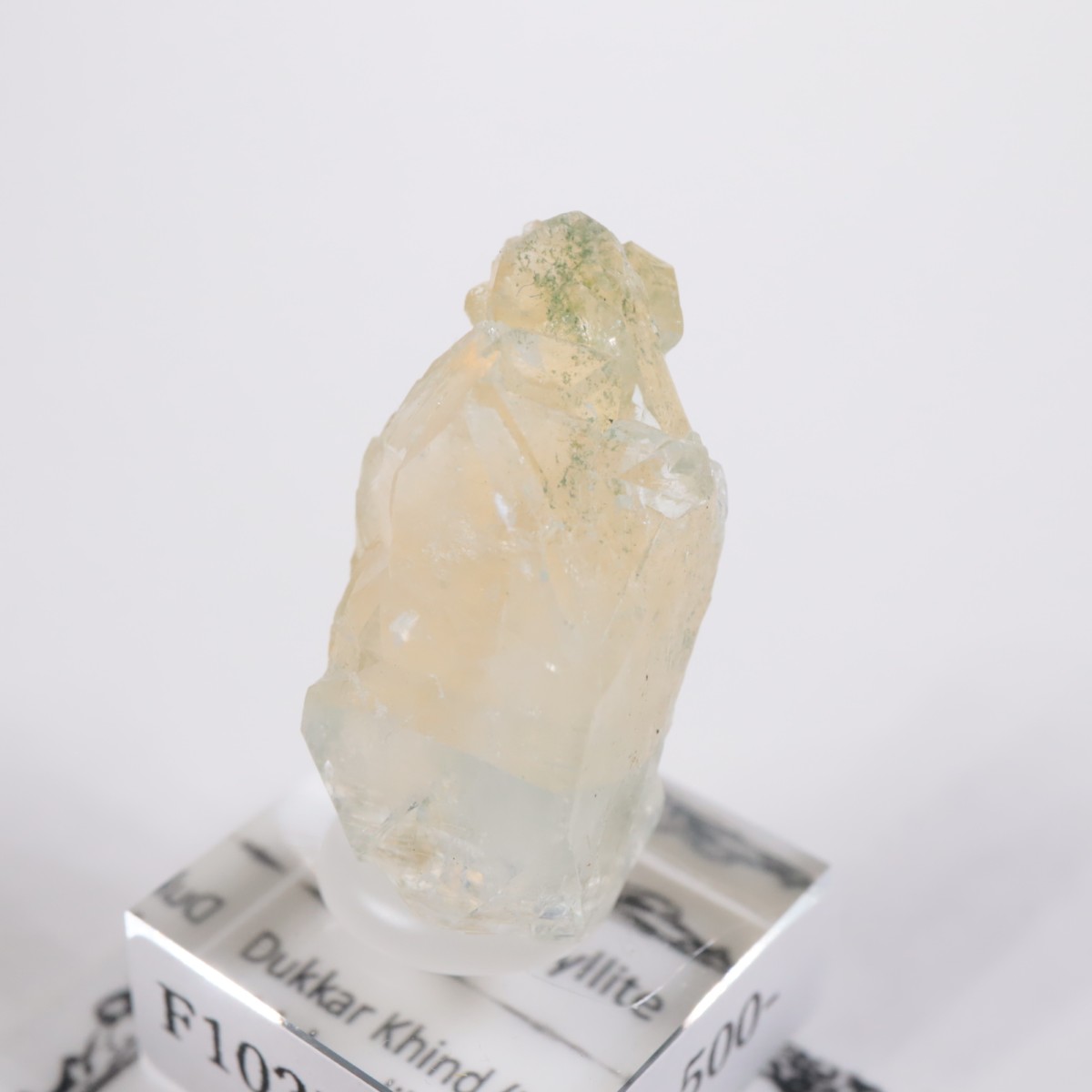 ����ɻ� ���ݥե��饤��