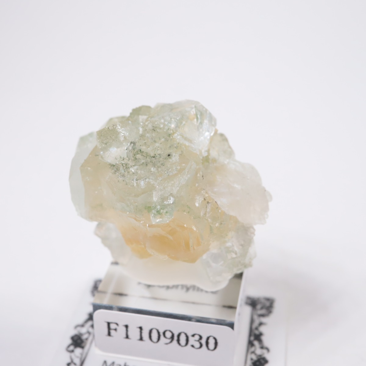 ����ɻ� ���ݥե��饤��