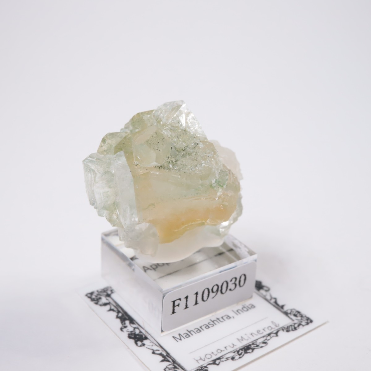 ����ɻ� ���ݥե��饤��