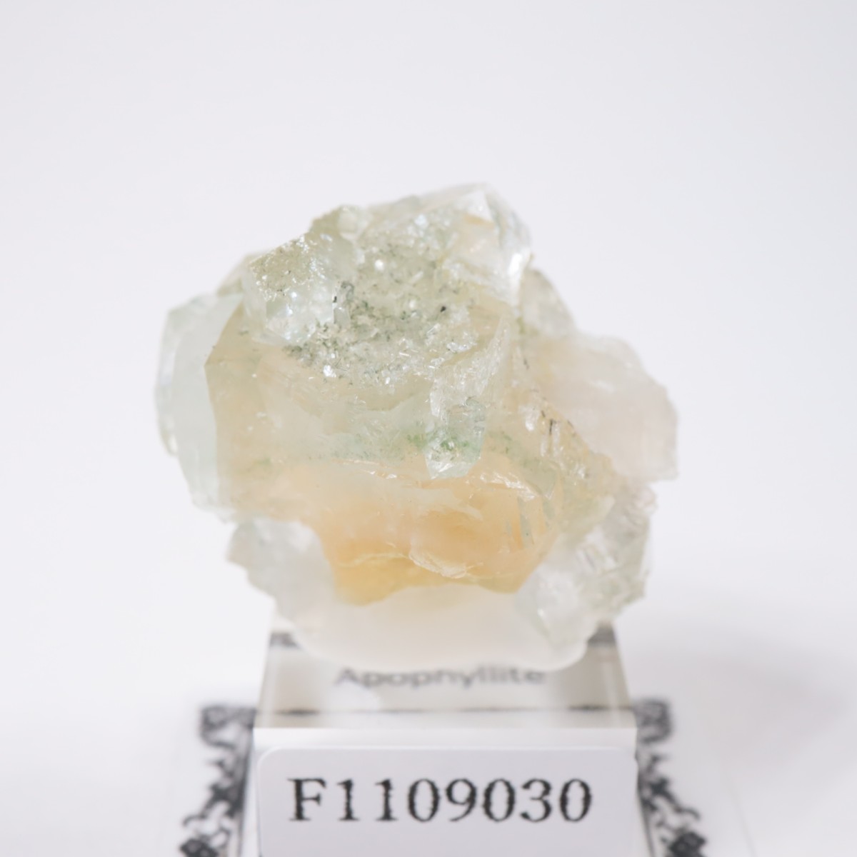 ����ɻ� ���ݥե��饤��