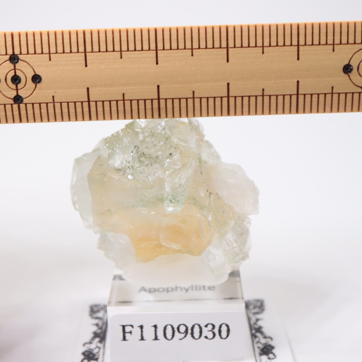 ����ɻ� ���ݥե��饤��