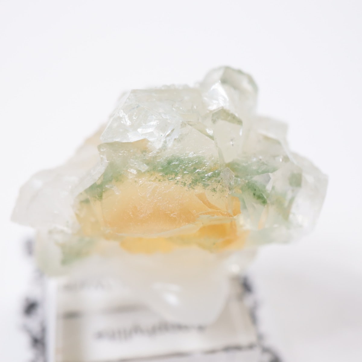 ����ɻ� ���ݥե��饤��