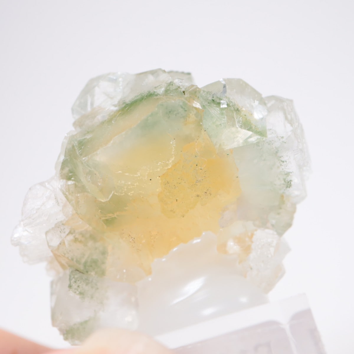 ����ɻ� ���ݥե��饤��