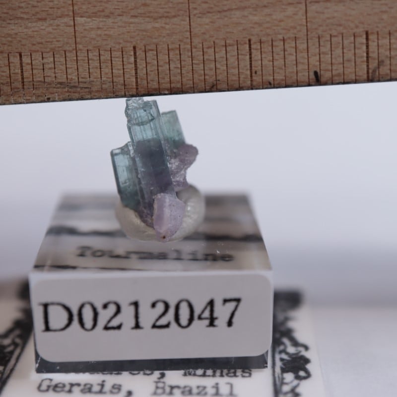 ブラジル産 トルマリン | 鉱物標本,タ行,トルマリン/電気石