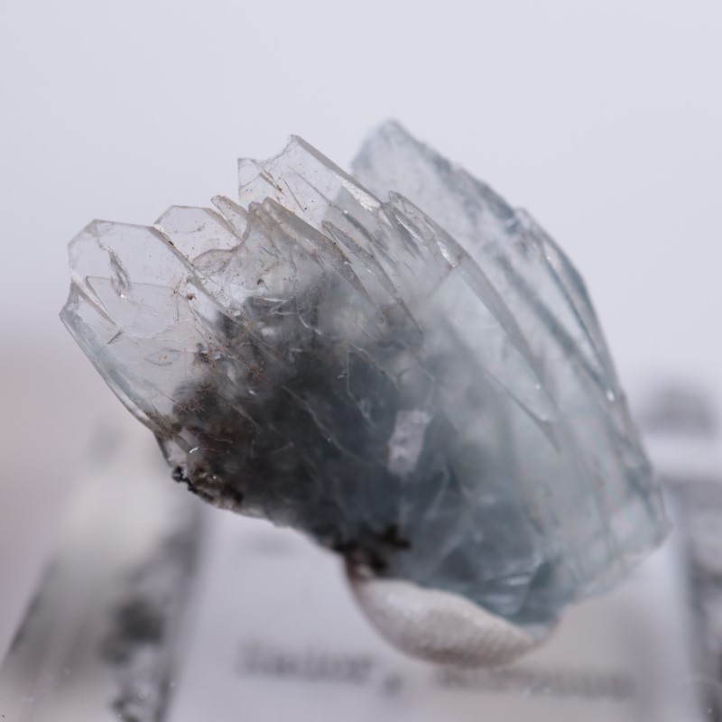 ����å������Х饤��