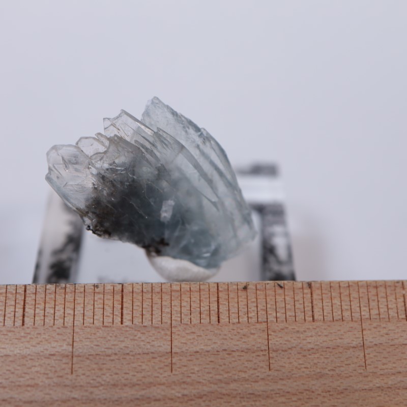 ����å������Х饤��