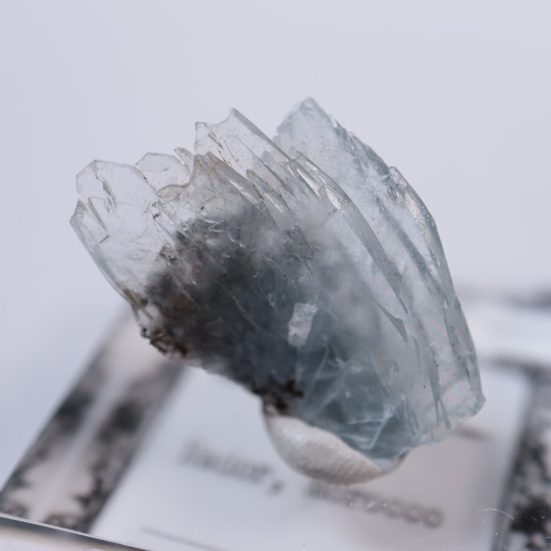 ����å������Х饤��