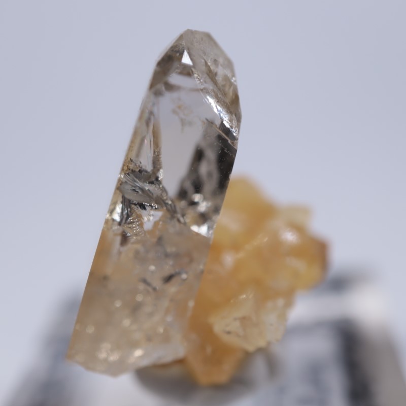 Elk Creek�����Х饤��on���륵����