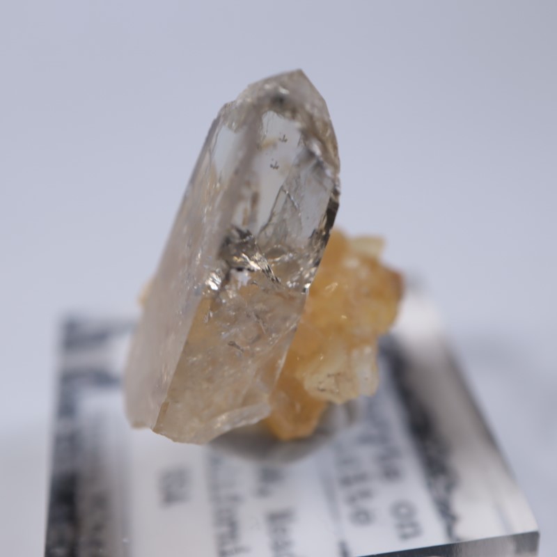 Elk Creek�����Х饤��on���륵����