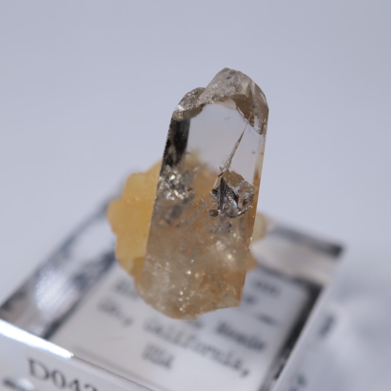 Elk Creek�����Х饤��on���륵����