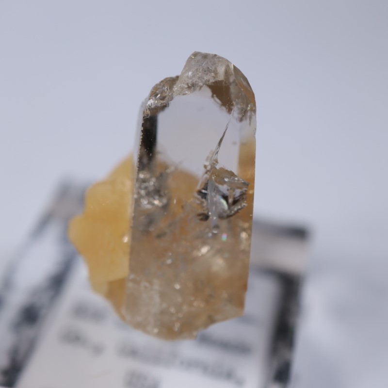 Elk Creek�����Х饤��on���륵����