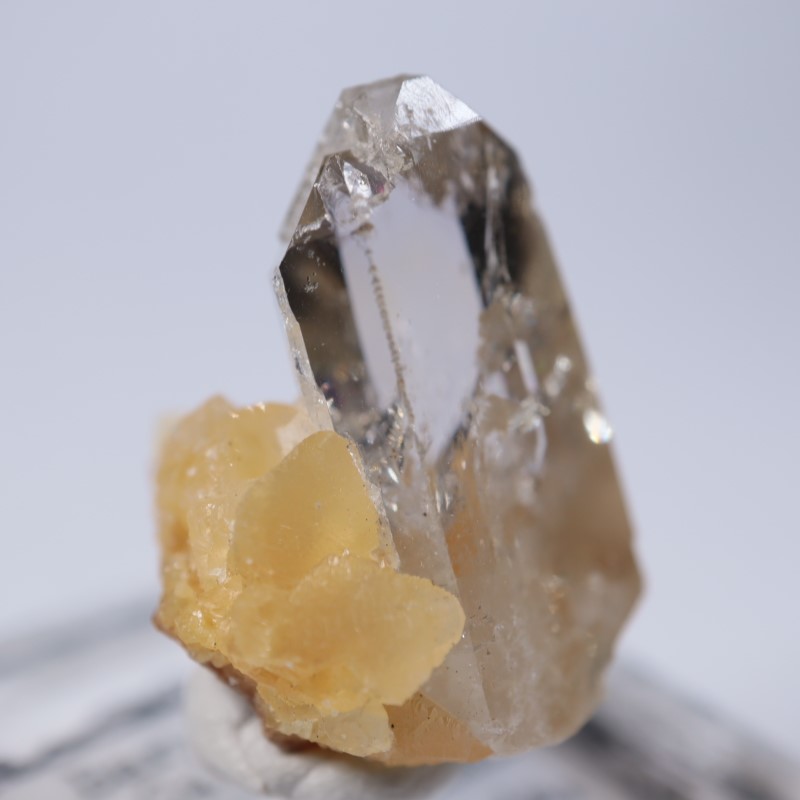 Elk Creek�����Х饤��on���륵����