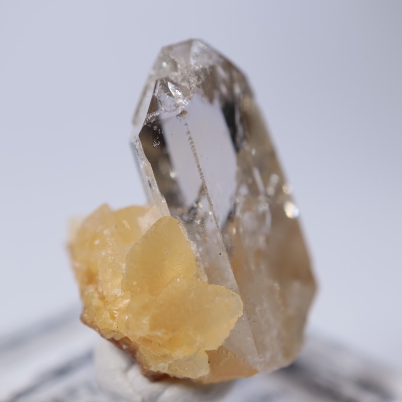 Elk Creek�����Х饤��on���륵����