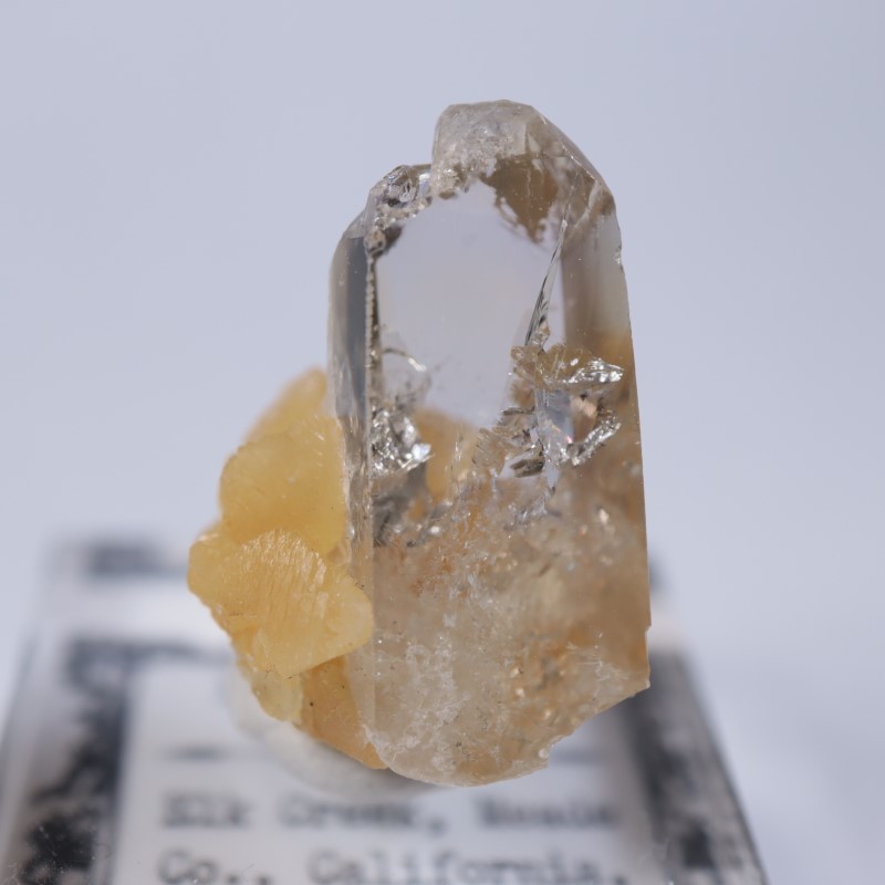 Elk Creek�����Х饤��on���륵����