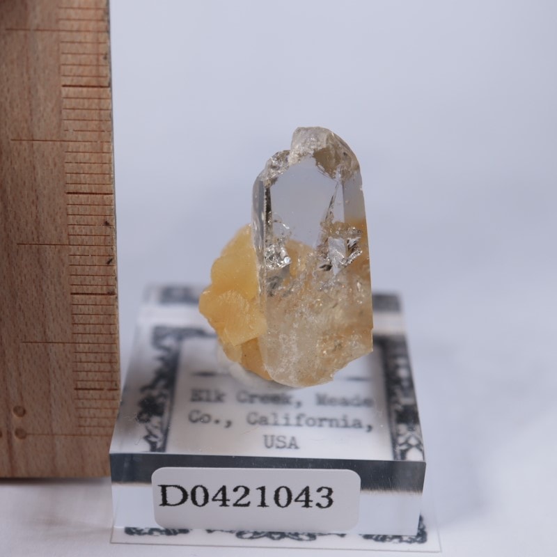 Elk Creek�����Х饤��on���륵����