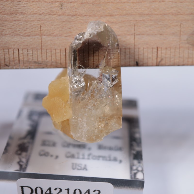 Elk Creek�����Х饤��on���륵����