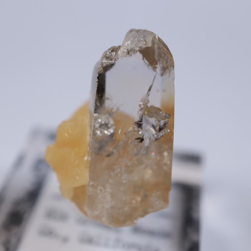 Elk Creek�����Х饤��on���륵����