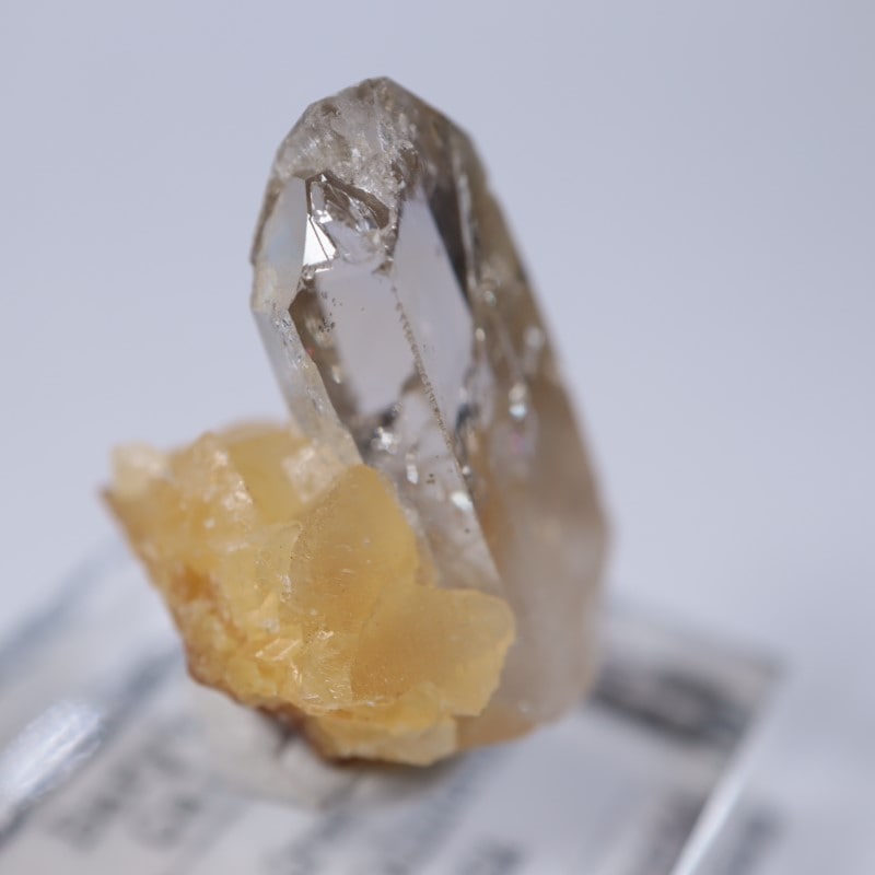 Elk Creek�����Х饤��on���륵����