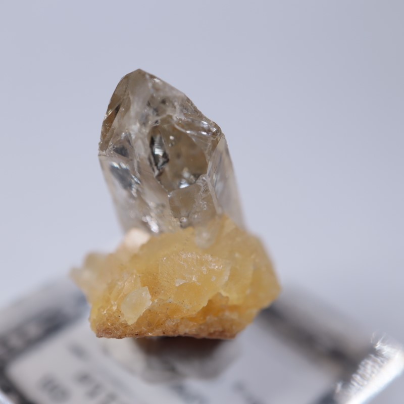 Elk Creek�����Х饤��on���륵����