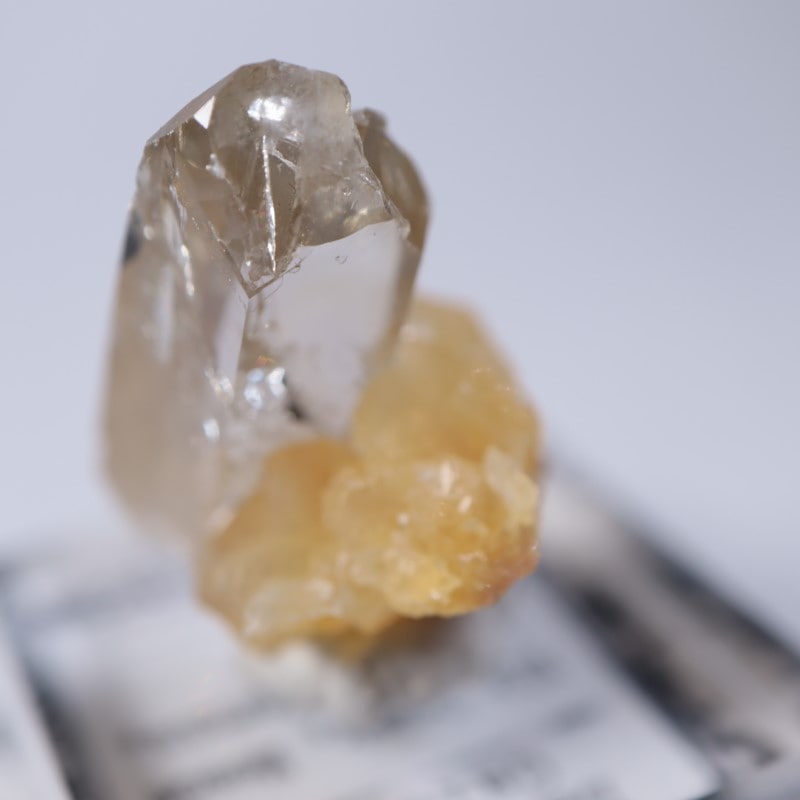 Elk Creek�����Х饤��on���륵����