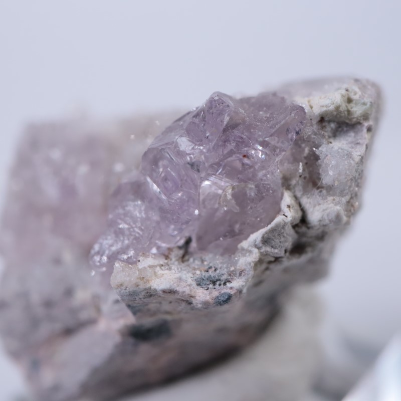 Sonora�������᥷����