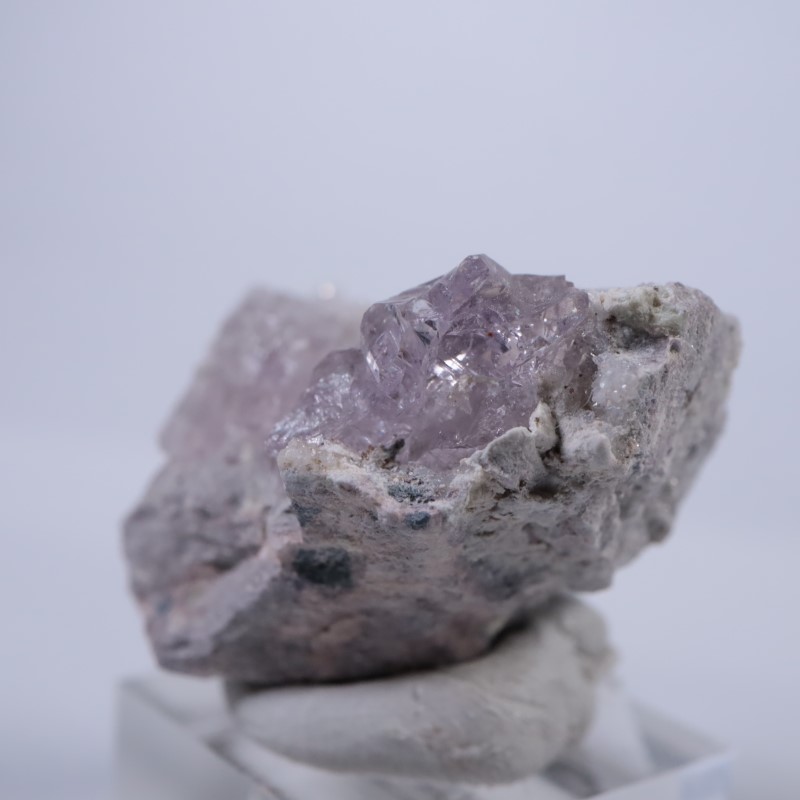 Sonora�������᥷����