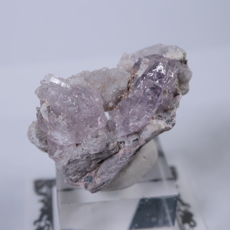 Sonora�������᥷����