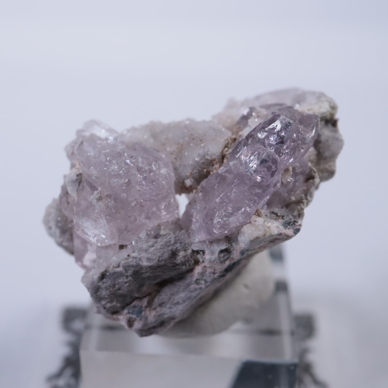 Sonora�������᥷����