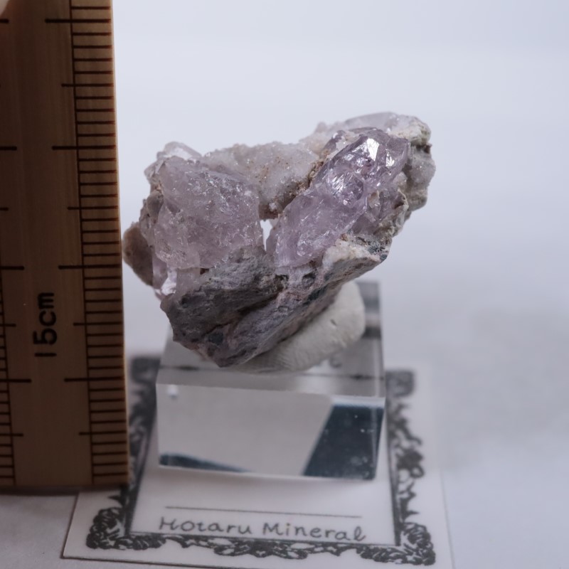 Sonora�������᥷����