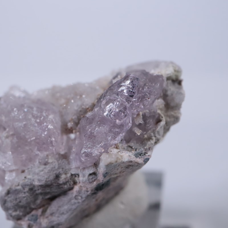 Sonora�������᥷����