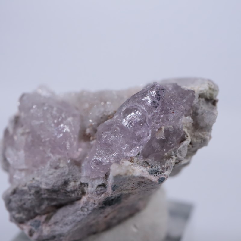 Sonora�������᥷����