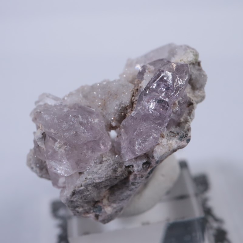 Sonora�������᥷����