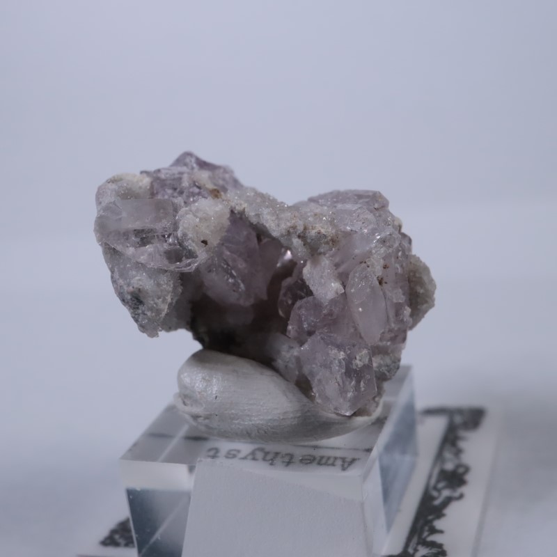 Sonora�������᥷����