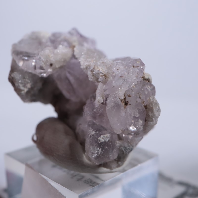 Sonora�������᥷����