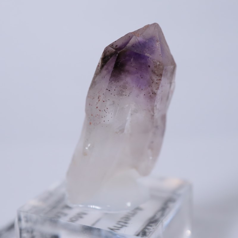 �֥��ɥС����������᥷����