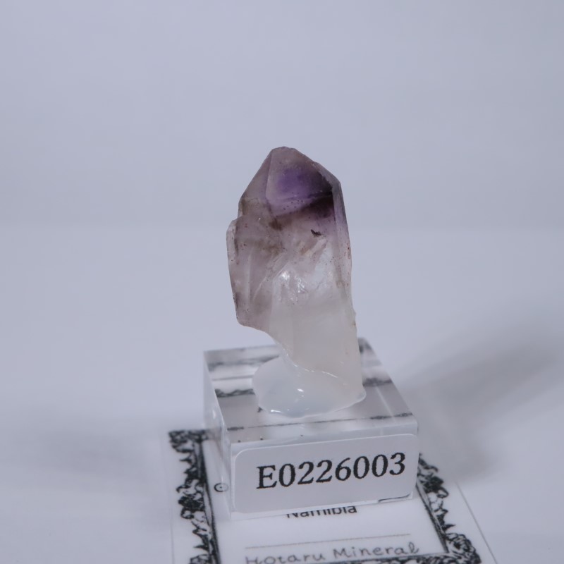 �֥��ɥС����������᥷����