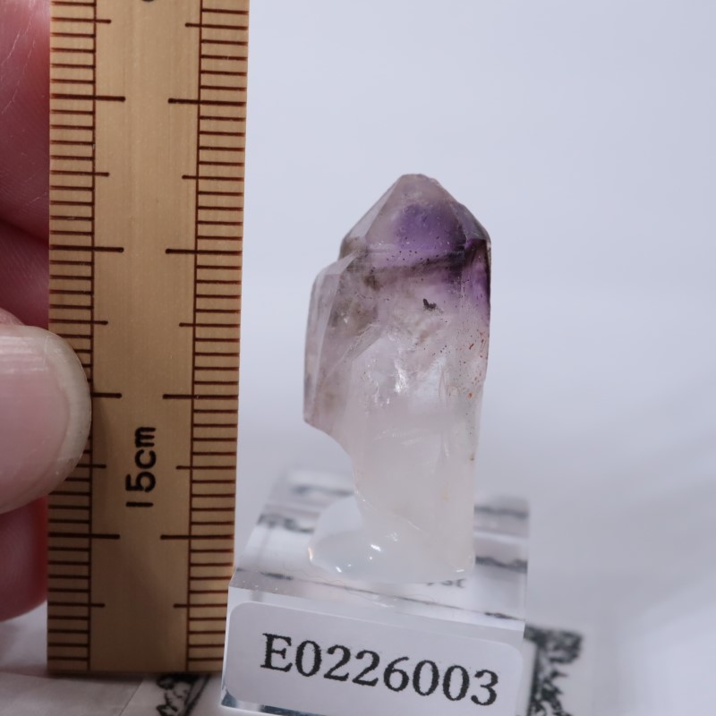 �֥��ɥС����������᥷����