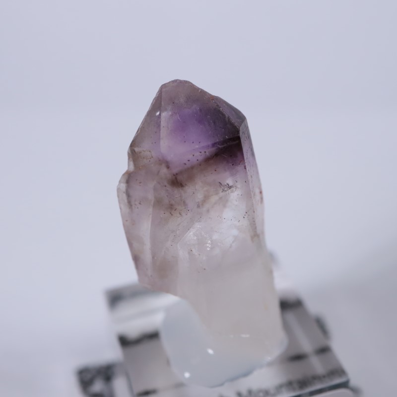 �֥��ɥС����������᥷����