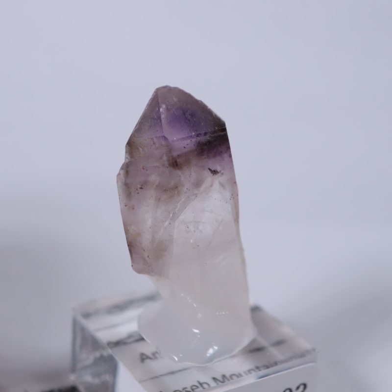 �֥��ɥС����������᥷����