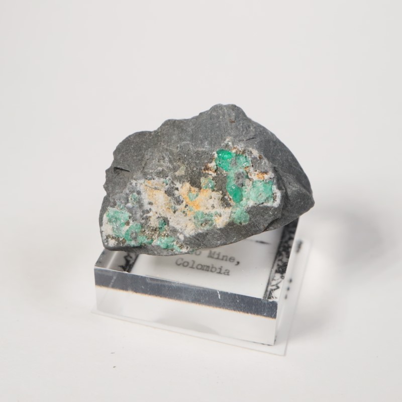 ������ӥ������������