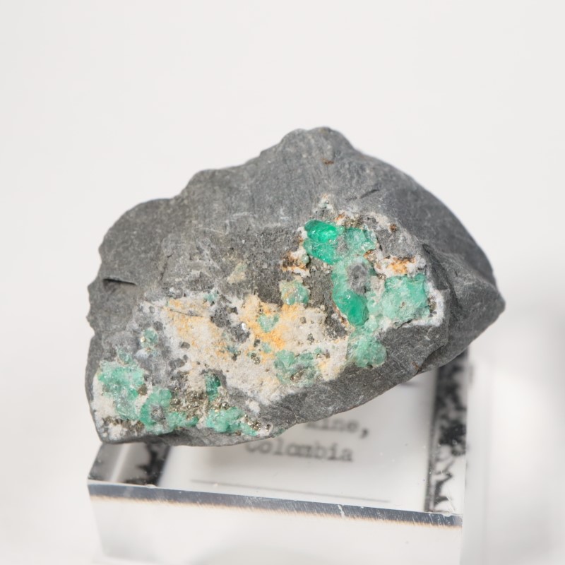 ������ӥ������������