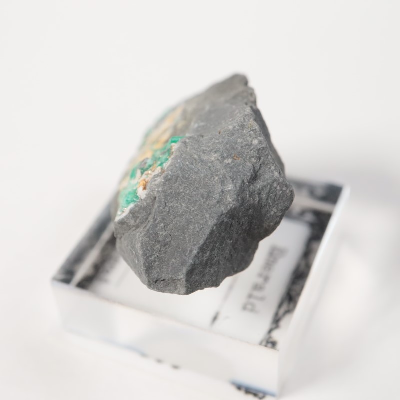 ������ӥ������������