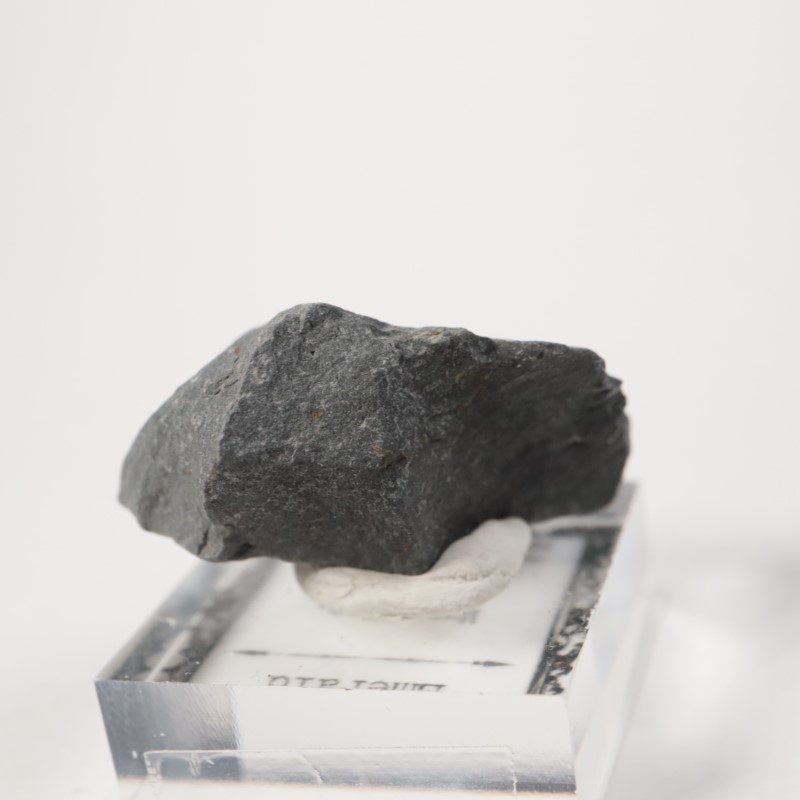 ������ӥ������������