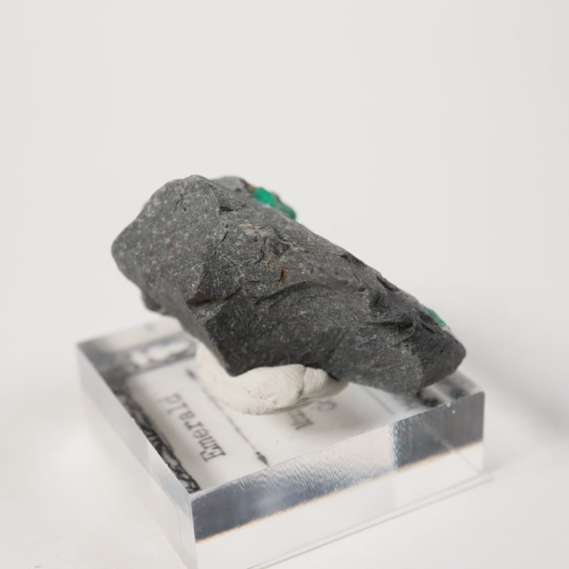 ������ӥ������������