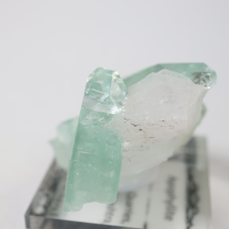 Wagholiݥե饤
