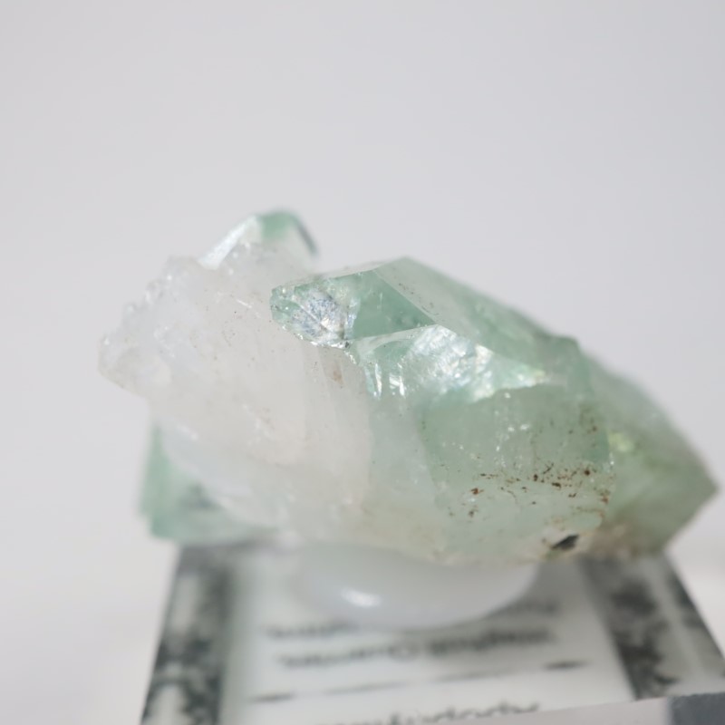 Wagholiݥե饤